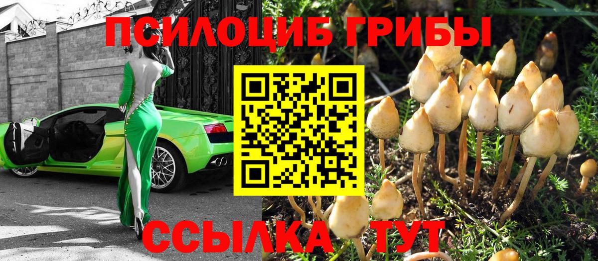 Раменское  Псилоцибиновые грибы мухоморы  Вход с VPN  где найти наркотики  Псилоцибиновые грибы Magic Shrooms 