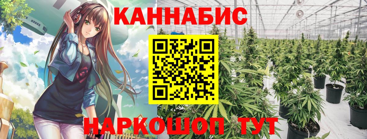 Канабис индика  Бошки марихуана White Widow  Вход с VPN  МАРИХУАНА THC 21%  Бошки Шишки сатива  Раменское 
